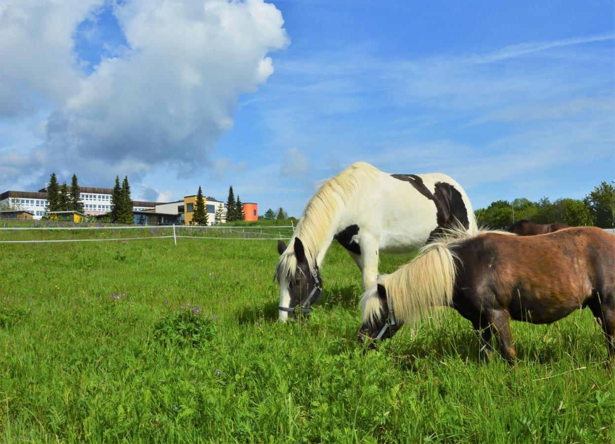 Elldus Resort Oberwiesenthal Dış mekan fotoğraf